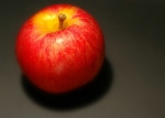 Les fruits : La Pomme
